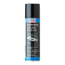 Ketjuöljy LIQUI MOLY 1520