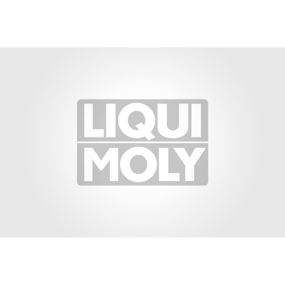 Polttoaineen lisäaine LIQUI MOLY Pro Line 5L