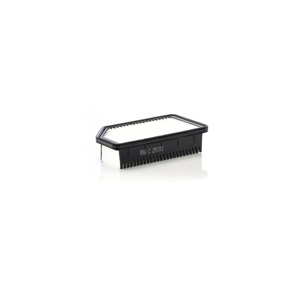 Ilmansuodatin MANN-FILTER C 25 013