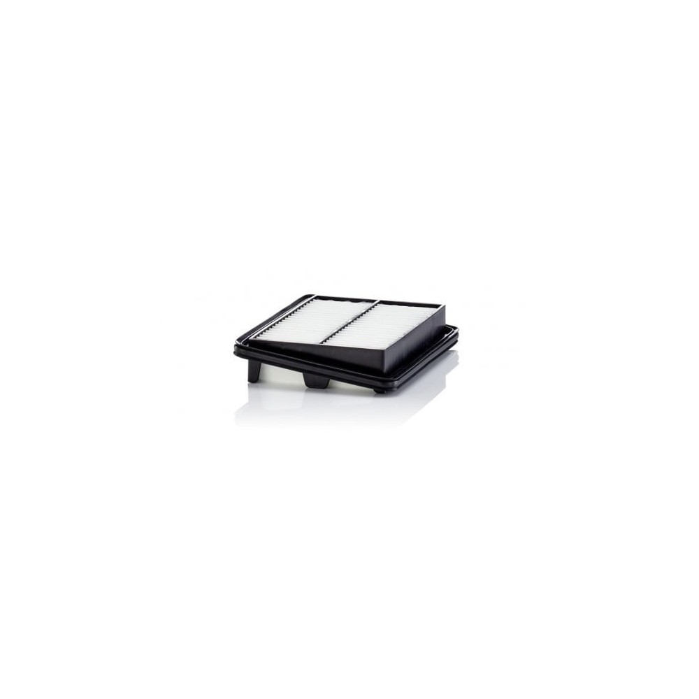 Ilmansuodatin MANN-FILTER C 22 060