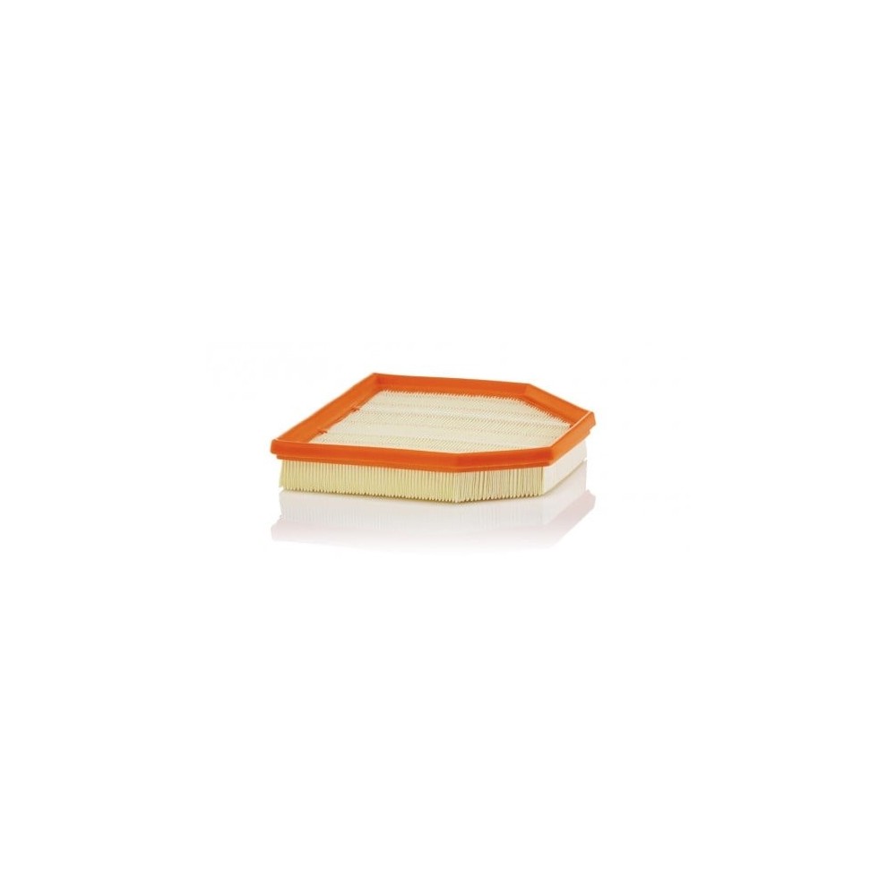 Ilmansuodatin MANN-FILTER C 24 242