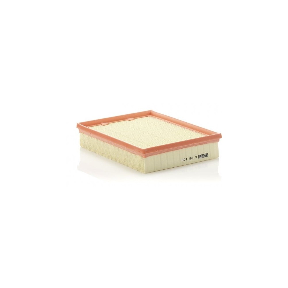 Ilmansuodatin MANN-FILTER C 25 109