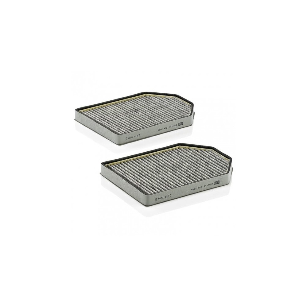 Cabin Filter MANN-FILTER CUK 2949-2